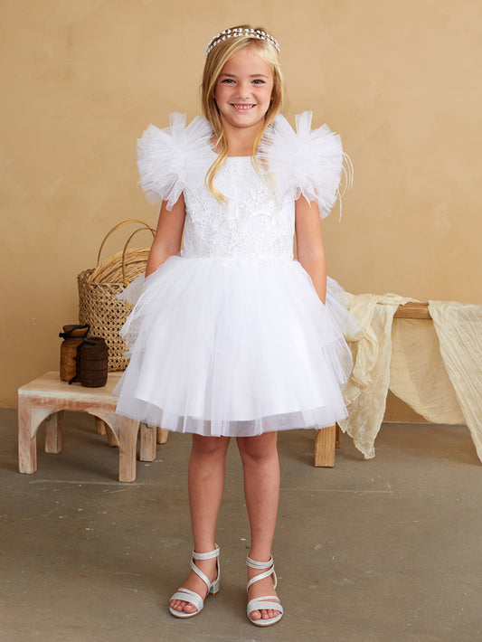 Girls Shimmery Flutter Sleeve Dress
