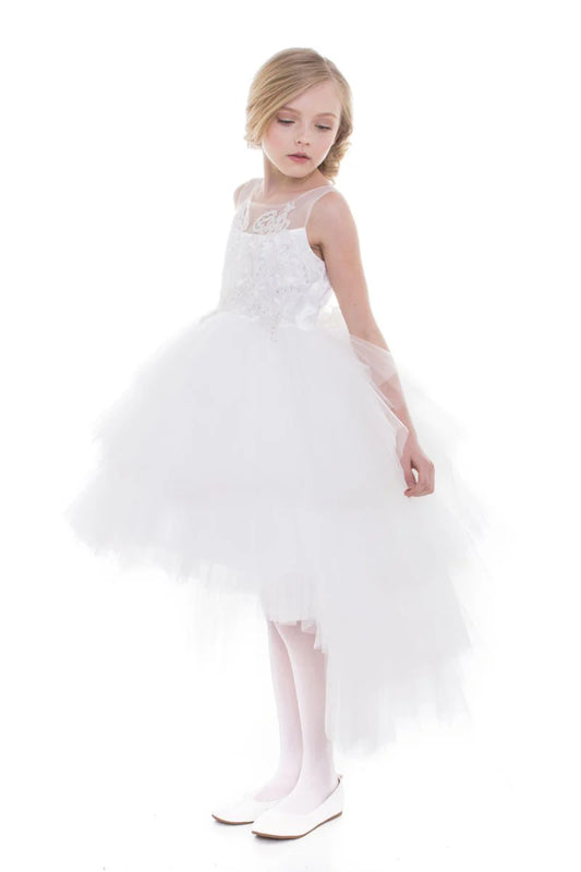 Luxurious Hi-low Dress with Beaded Bodice and Multi Layer Skirt
