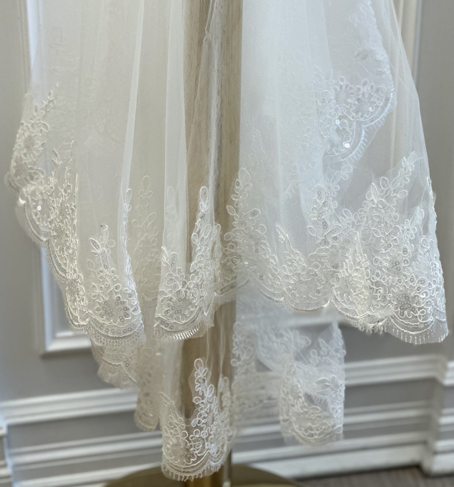 Ivory Veil with Lace Edge
