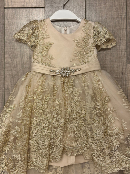 P.Daliana Embroidered Lace/Tulle Hi Low Dress