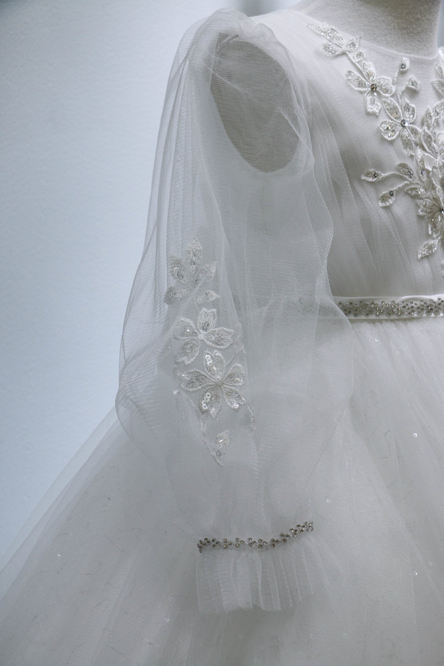 Girls Gown with Sheer Long Sleeves, Applique