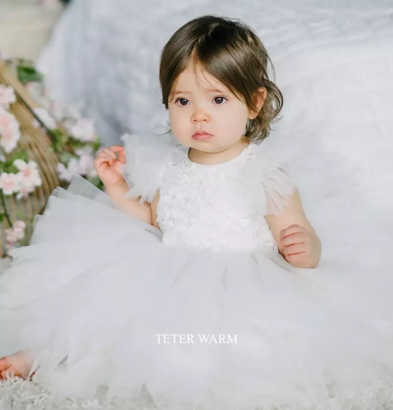 Infant Floral Bodice,Flutter Sleeves Dress