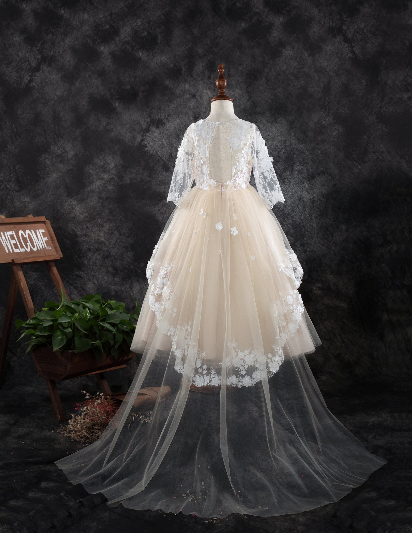 Princess Daliana Girls Embroidered Dress