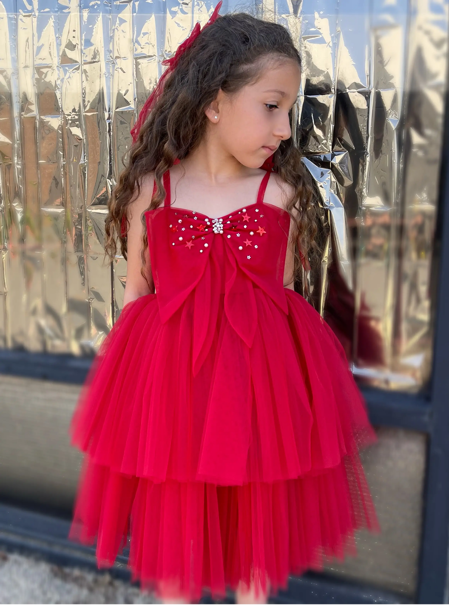 Bardot Butterfly Tulle Dress