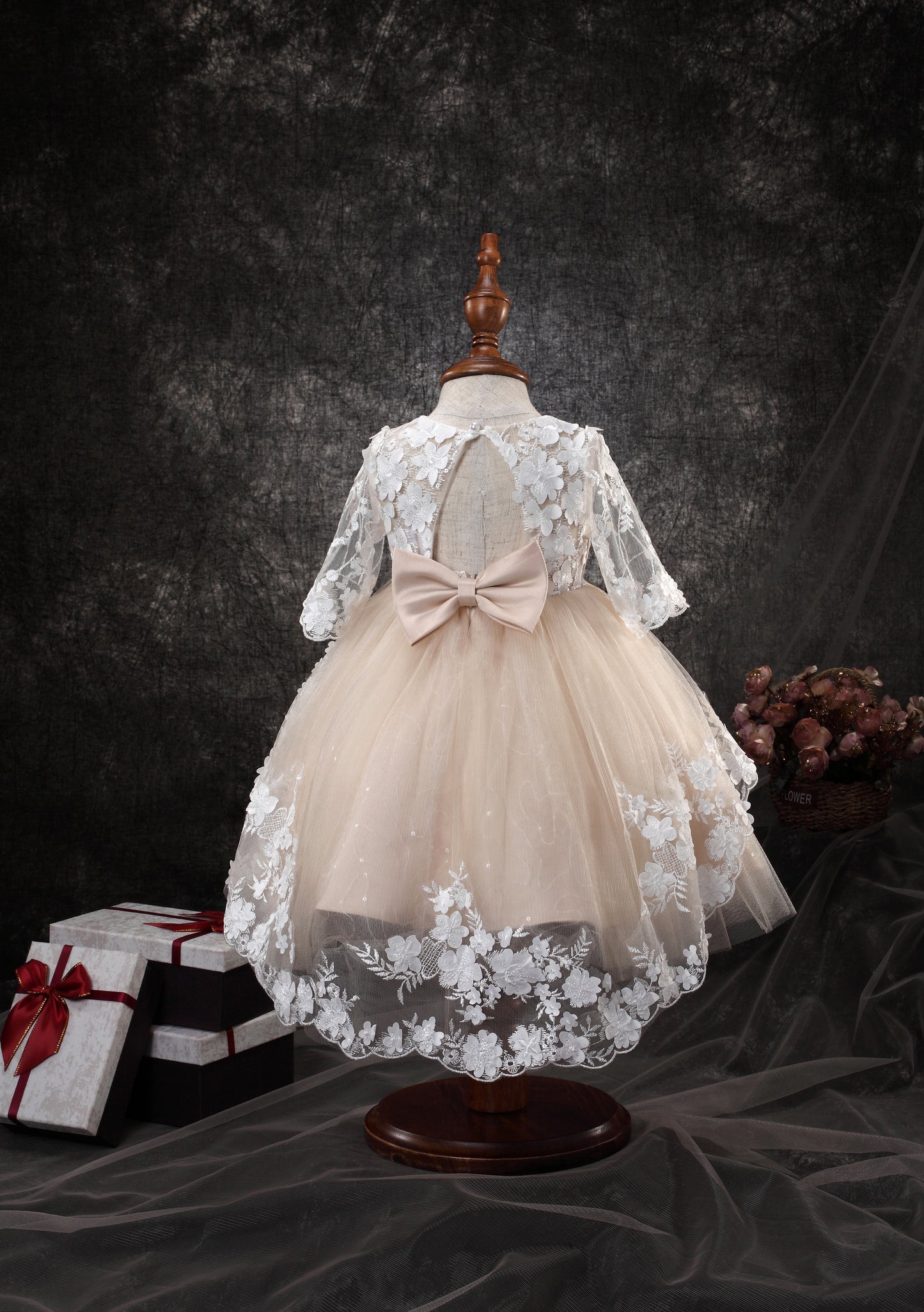 Princess Daliana Infant Embroidered Dress