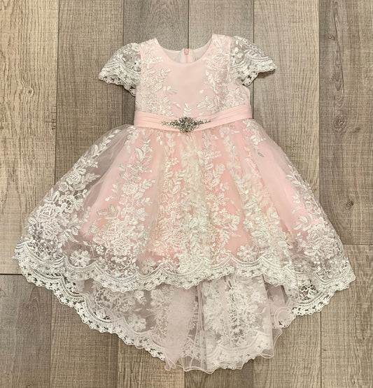 Princess Daliana Embroidered Dress