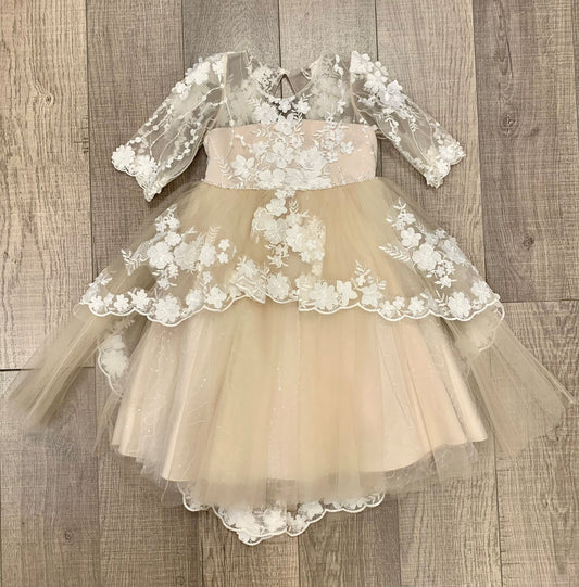 Princess Daliana Infant Embroidered Dress