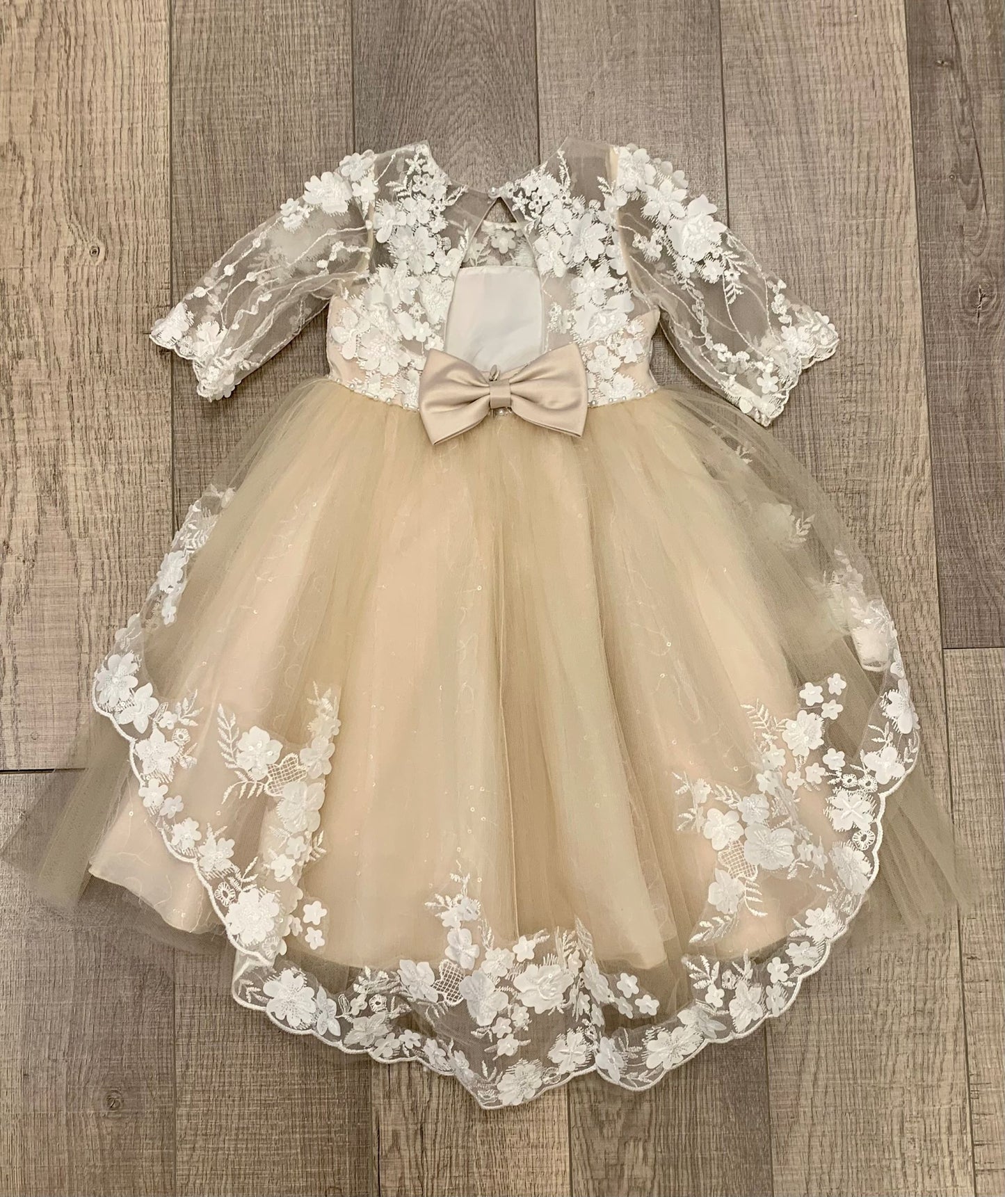 Princess Daliana Infant Embroidered Dress