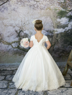 Princess Daliana Embroidered Satin Dress, V Back