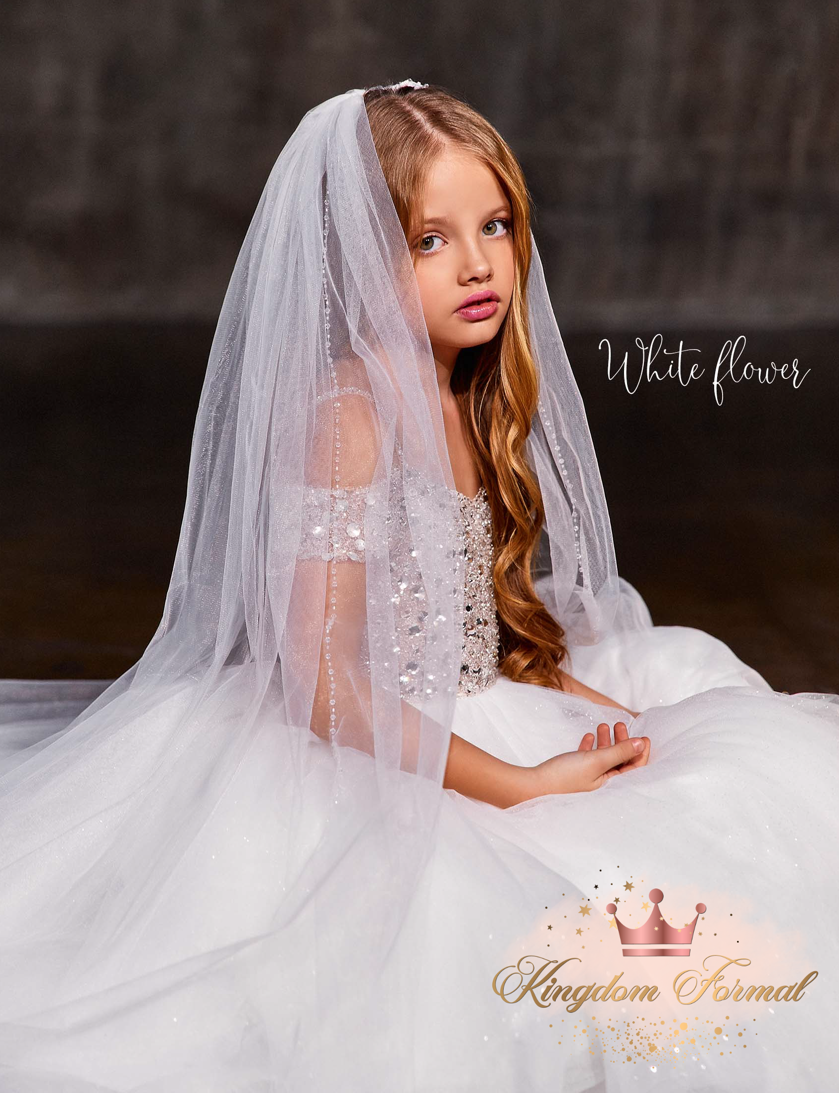 Long online tulle veil