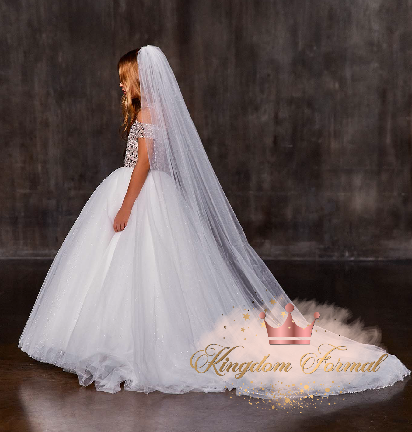 Long Tulle Veil
