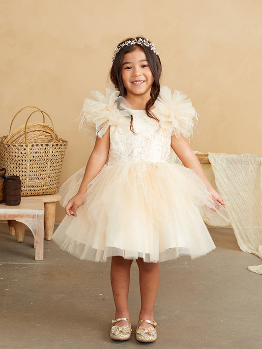 Girls Shimmery Glitter Floral Dress