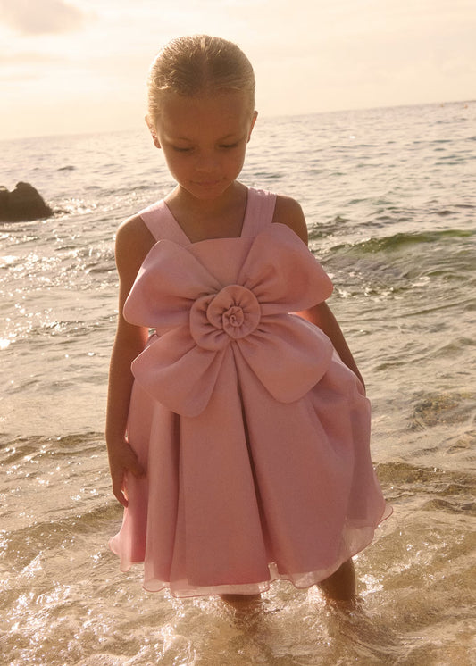 Abel & Lula Girl Flower Organza Dress