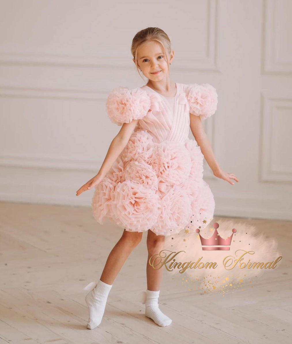 Girls Tulle Dress w/3D Rosettes, Matching Clip