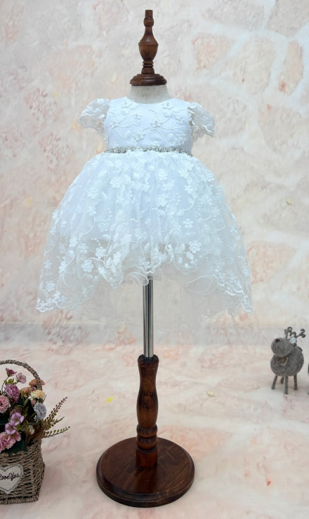 Infant Cap Sleeve Dress w/3D Floral Lace, Belt