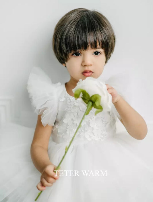 Infant Floral Bodice,Flutter Sleeves Dress