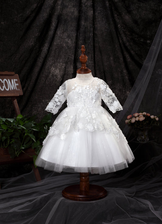 Princess Daliana Embroidered Tulle Dress