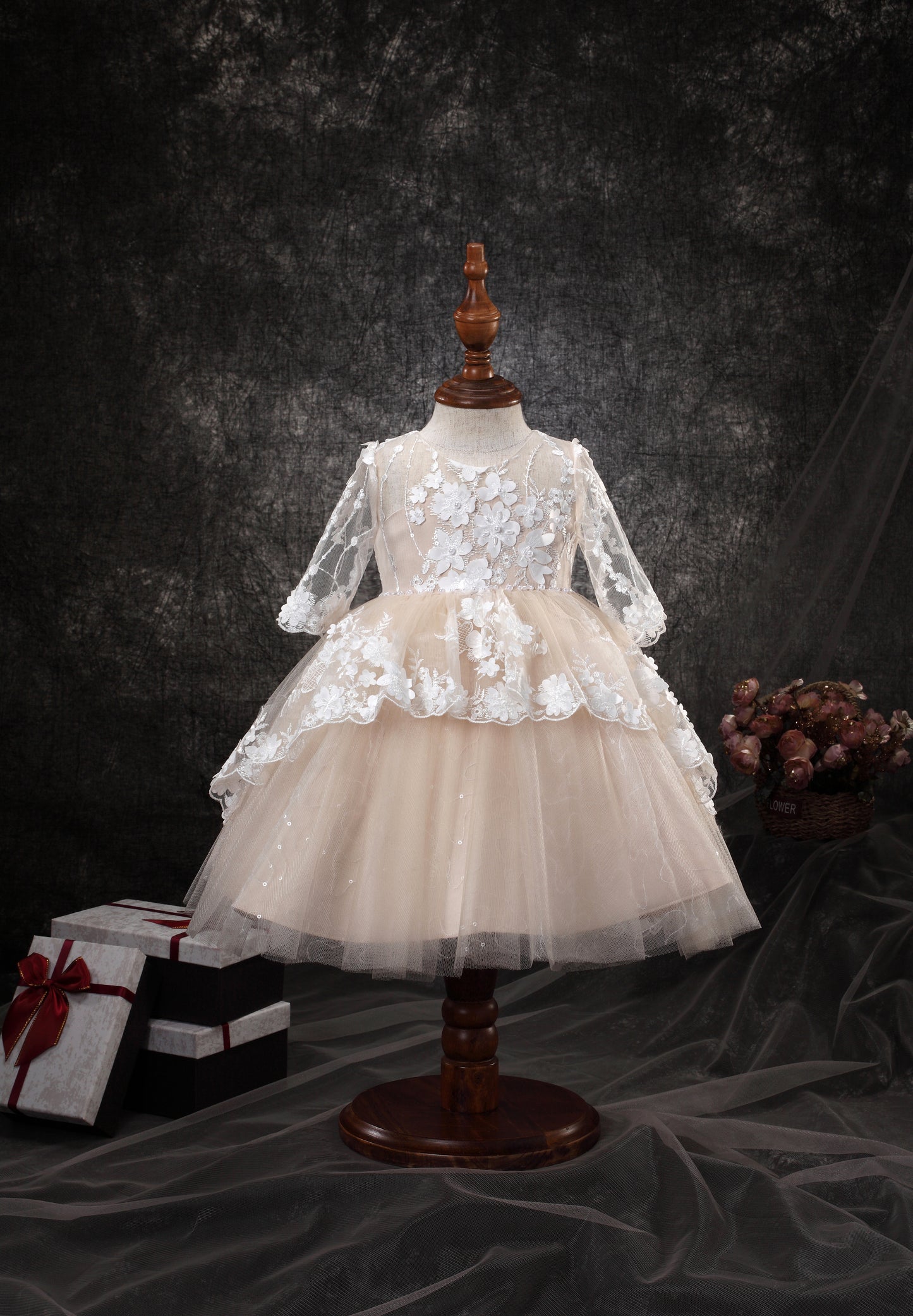 Princess Daliana Infant Embroidered Dress