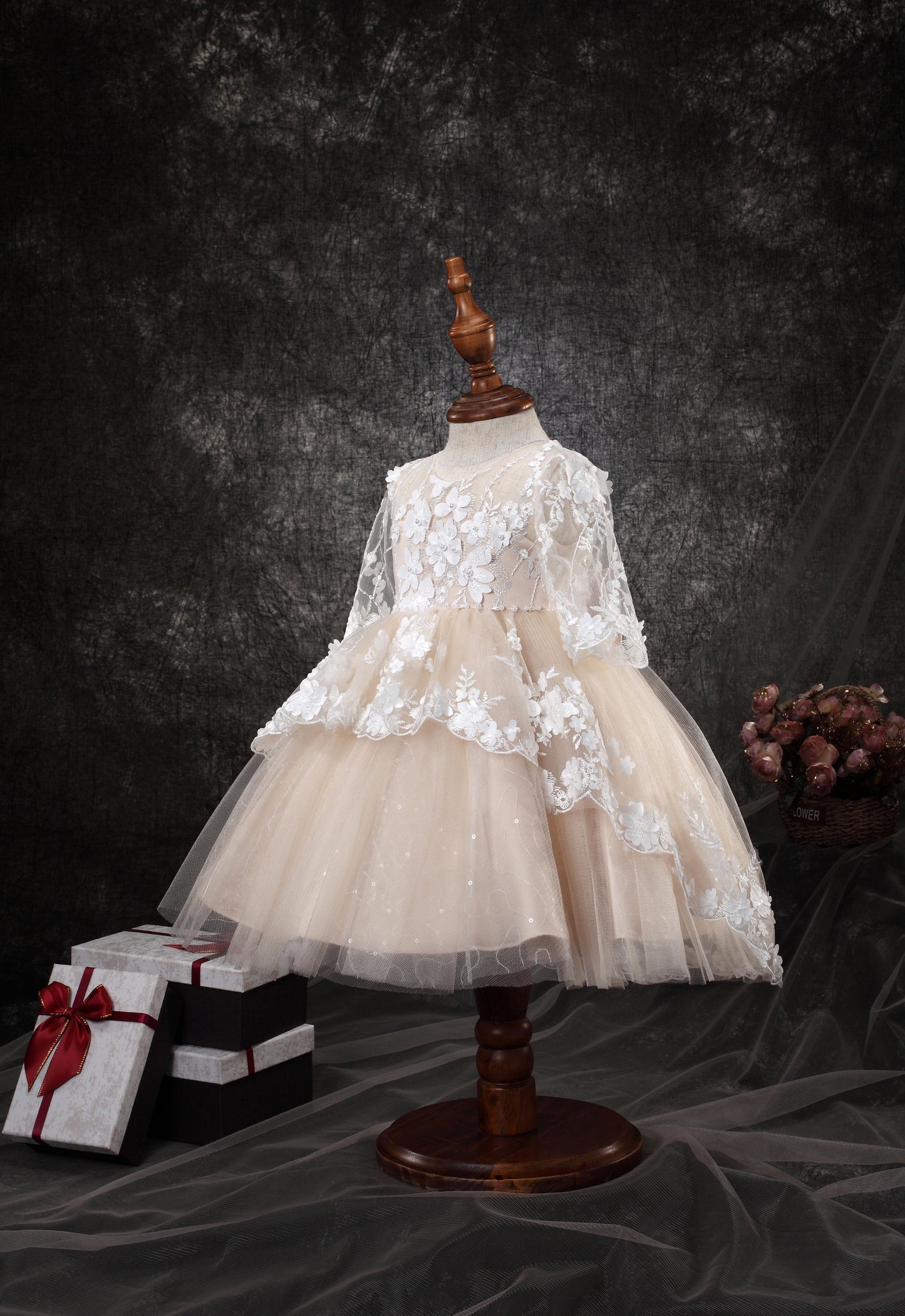 Princess Daliana Infant Embroidered Dress