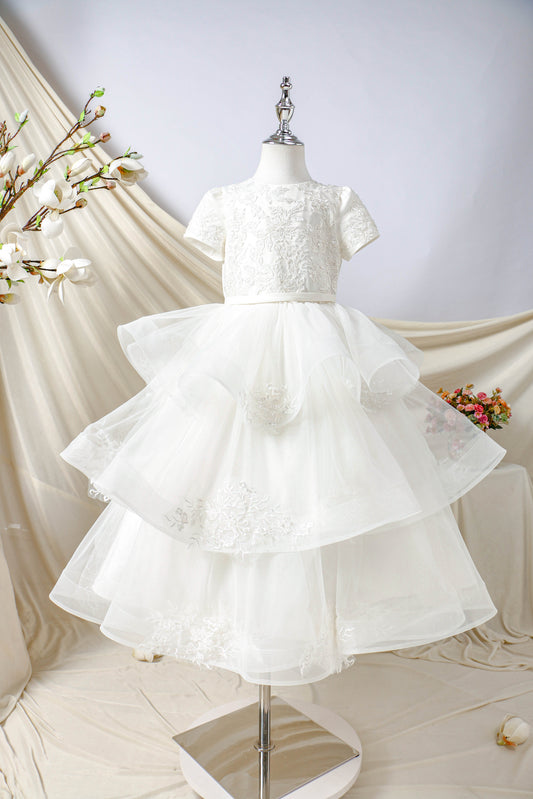 Princess Daliana Embroidered Gown