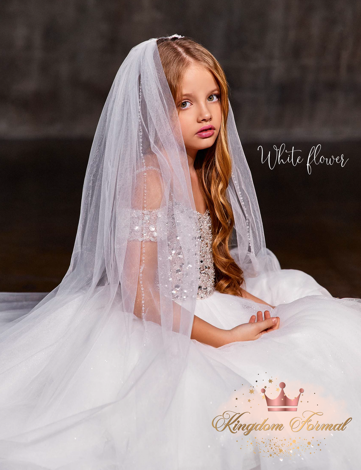 Long Tulle Veil